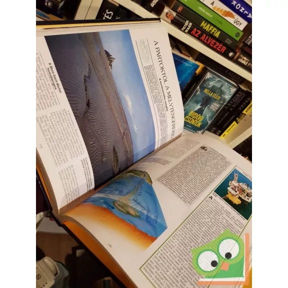 Csaba Emese (szerk.): Teremtő erők, pusztító elemek