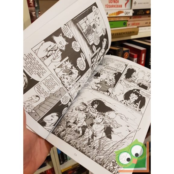 Stan Sakai: Usagi Yojimbo 1. - A rónin