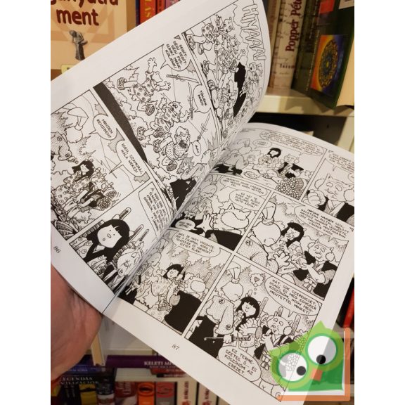 Stan Sakai: Usagi Yojimbo 7  - Gen története (utolsó darabok)