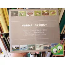   Várnai György: Vadásztörténetek és mesék felnőtt gyerekeknek, a természet rajongóinak