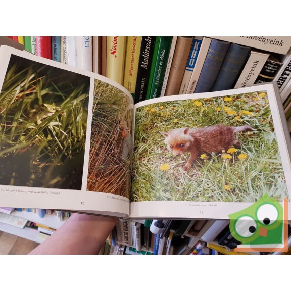 Várnai György: Vadásztörténetek és mesék felnőtt gyerekeknek, a természet rajongóinak