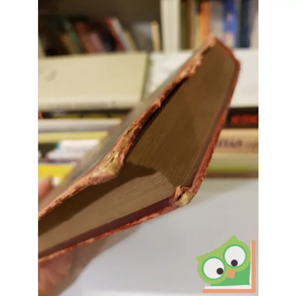 Verne Gyula: Cirkuszkocsival a sarkvidéken át