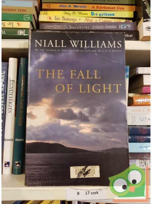 Niall Williams: The falls of light