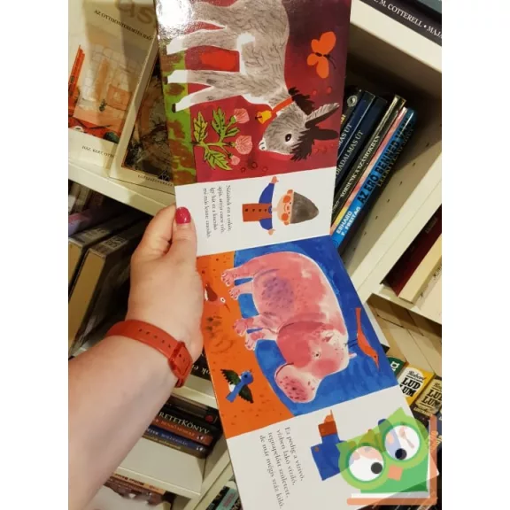 Zelk Zoltán: Kiskedden (leporelló)