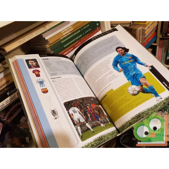 Zombori Sándor: Zseniális világsztárok - 100 híres futballista