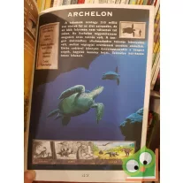 Zubály Sándor: Képes Dinoszaurusz Kalauz