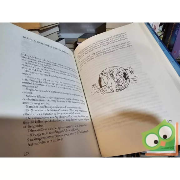 Bodrogi Tibor, Karig Sára (szerk.): A bőbeszédű teknősbéka (Népek meséi ) (nagyon ritka)