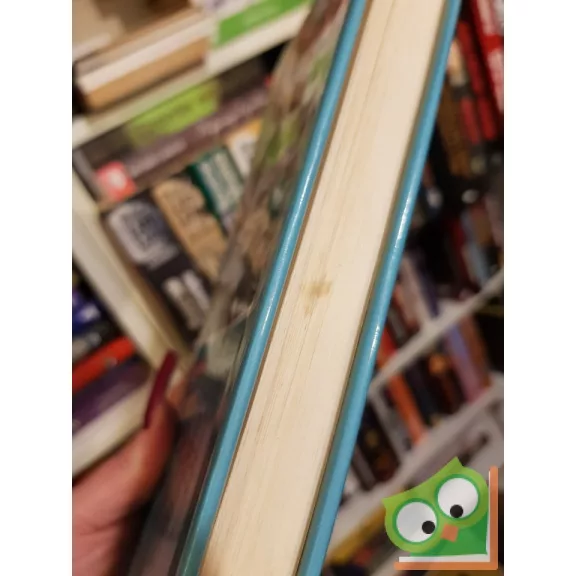 Baktay Ervin: A csillagfejtés könyve