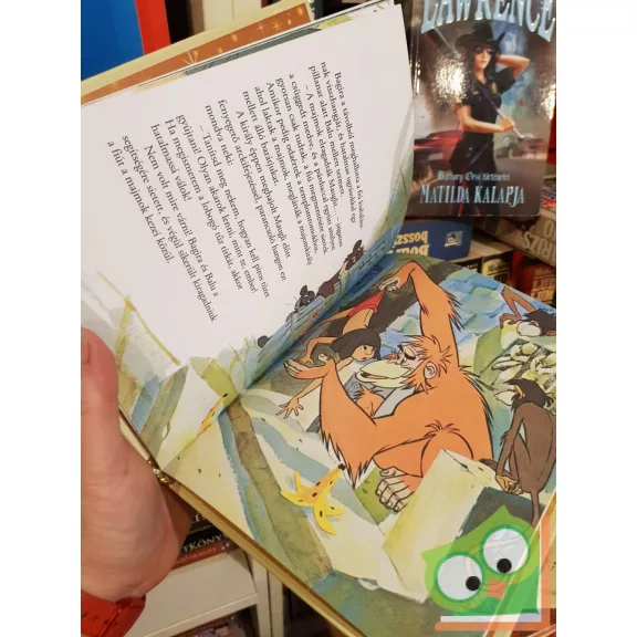 A dzsungel könyve (arany Disney) (ritka) (fóliás)