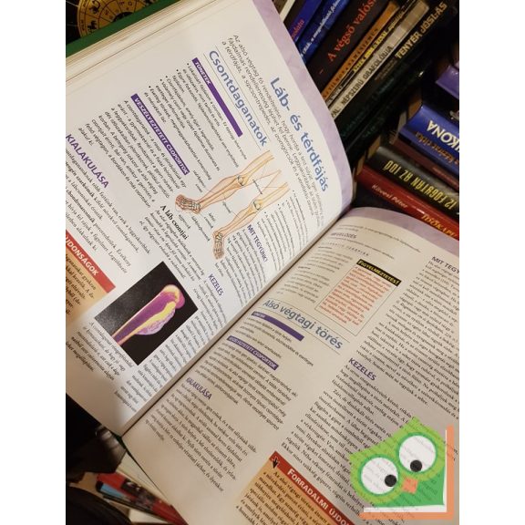 Hodinka Barbara (szerk.): A fájdalomcsillapítás enciklopédiája