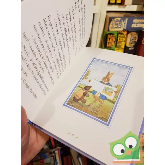 Alison Uttley: A festődoboz (Ugri, a kis szürke nyúl)