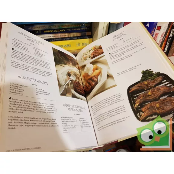 A főzés nagy enciklopédiája