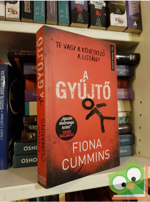 Fiona Cummins: A gyűjtő (Etta Fitzroy 2.)