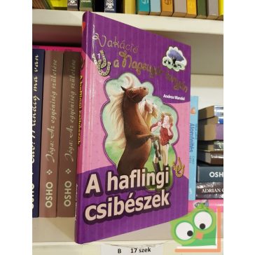   Andrea Wandel: A haflingi csibészek (Vakáció a Napsugár tanyán 1.) (Pony Club)