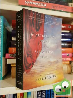   Dave Eggers: A Heartbreaking Work of Staggering Genius (2 regény)