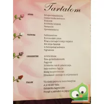   Tomanné Jankó Katalin (szerk.): Disney Hercegnők - A hercegnők szakácskönyve  (Ritka!)
