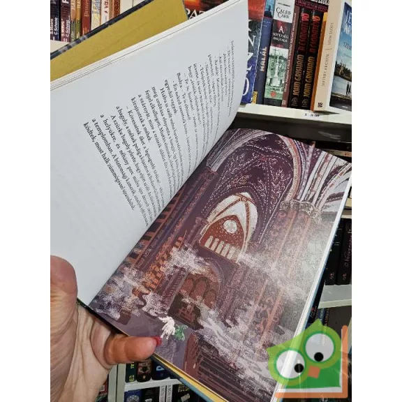 Berg Judit: A holló gyűrűje