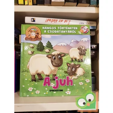   Gilles Laurendon: A juh (hangos történetek a csodatayáról) (csak könyv)