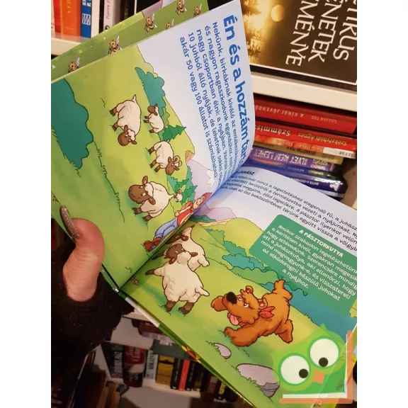 Gilles Laurendon: A juh (hangos történetek a csodatayáról) (csak könyv)