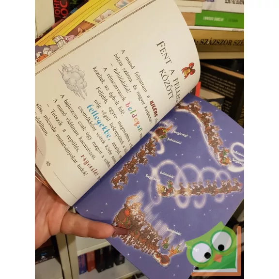 Geronimo Stilton: A karácsonyi manók titka (Geronimo Stilton 47.) (ritka)