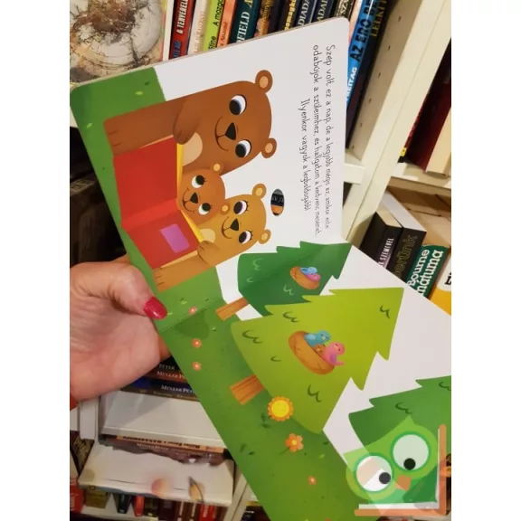 A kicsi maci nagy kalandja (leporelló)