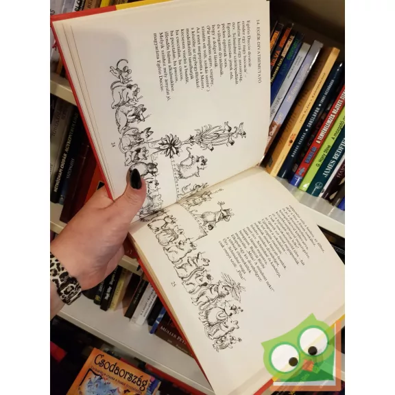 Michael Ende: A kis firkások