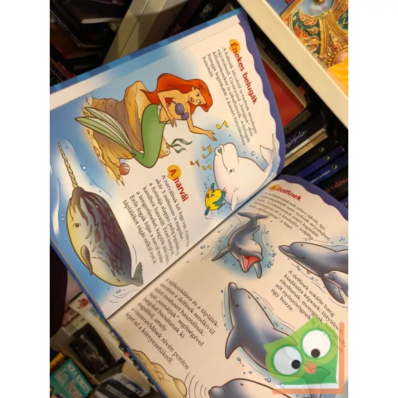 Walt Disney – A kis hableány és a tengerben élő állatok (Fedezd fel Disneyvel! sorozat)