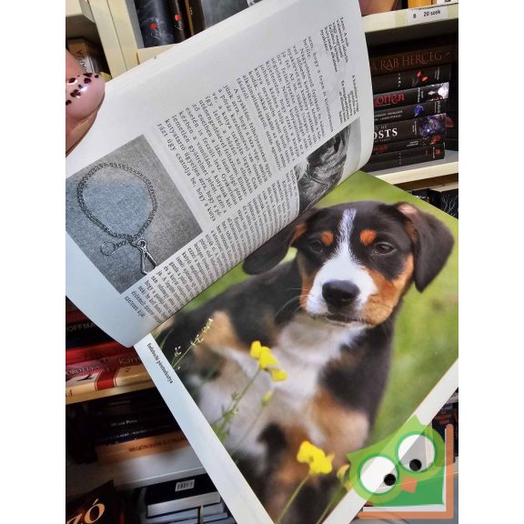 Doris Baumann: A kölyökkutya