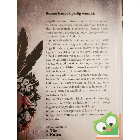 Mats Strandberg - Sara B. Elfgren: A kör (Engelsfors-trilógia 1.) (ritka)