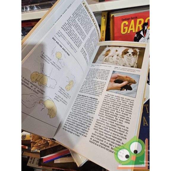 Andrew Edney - Roger Mugford: A kutya egészségkönyve