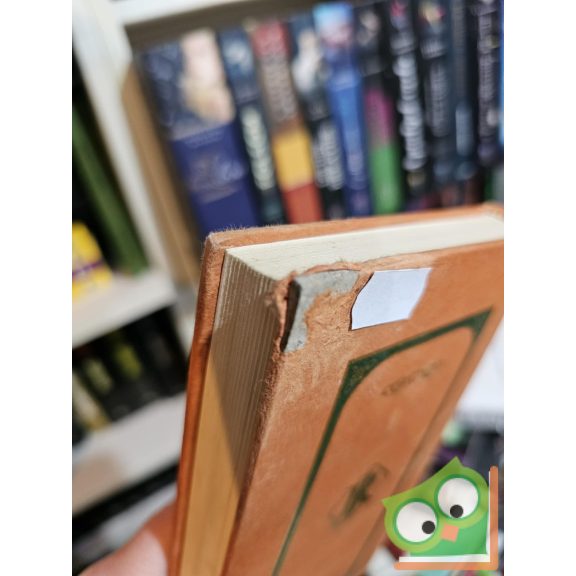 Rejtő Jenő (P. Howard): A Láthatatlan Légió