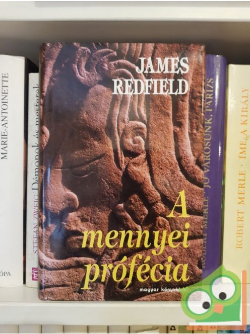 James Redfield: A mennyei prófécia (Mennyei prófécia 1.)