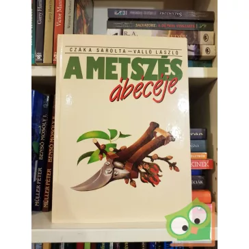 Czáka Sarolta, Valló László: A metszés ábécéje