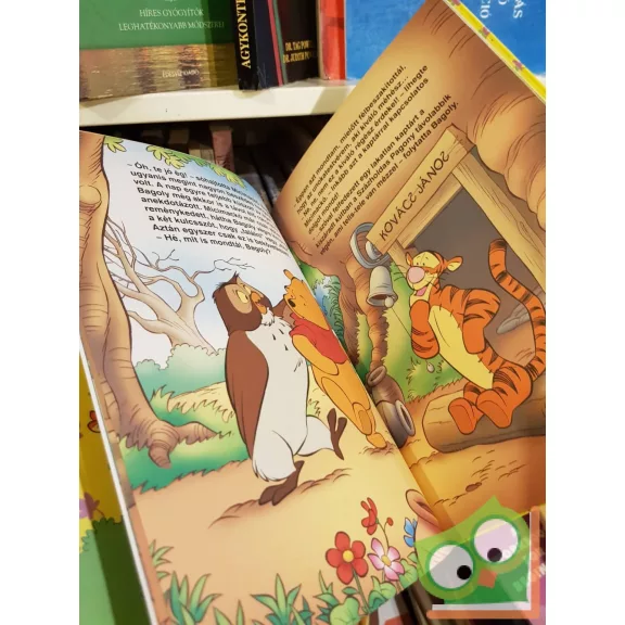 A méz mindenkiért, mindenki a mézért (Walt Disney- Micimackó könyvklub)