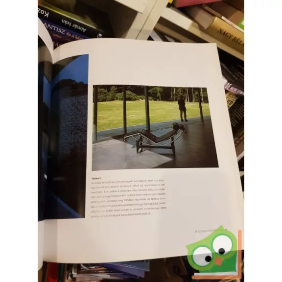 Maggie Toy: A modern lakás