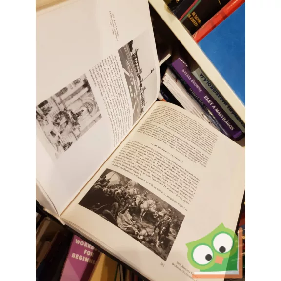 Aradi Nóra (szerk.): A művészet története Magyarországon