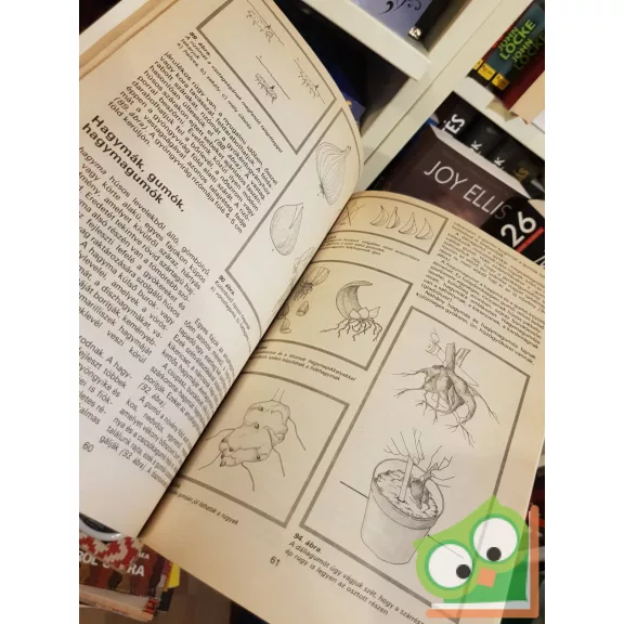 Czáka Sarolta, Füstös Zsuzsanna, Hrotkó Károly: A növényszaporítás ábécéje