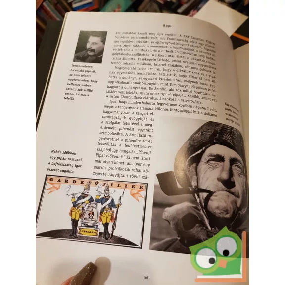 Robin Crole: A pipa (ritka)