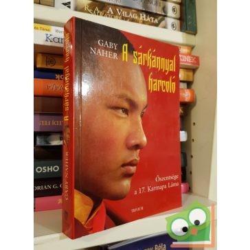 Gaby Naher: A sárkánnyal harcoló