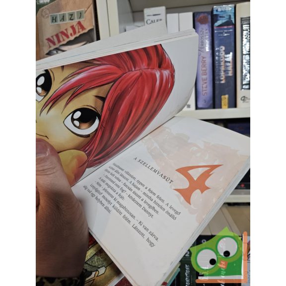 Lene Kaaberbøl: A szalamandra szíve (WITCH 1.)