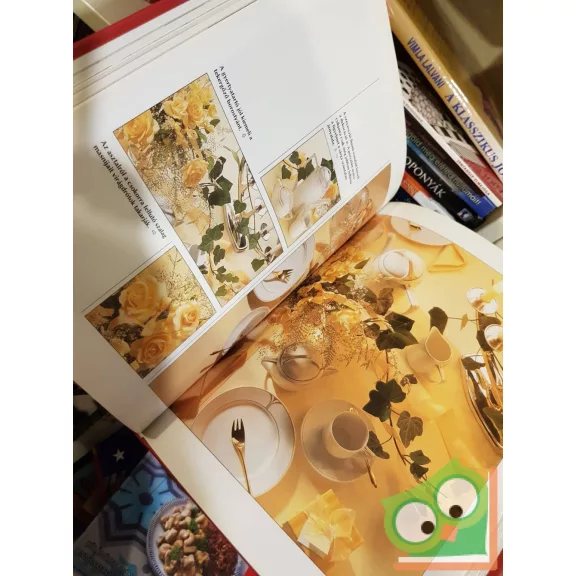 Hans Tapper: A szépen terített asztal