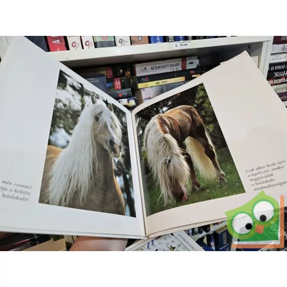Elisabeth Kellner, Tomáš Miček: A szőke szépség
