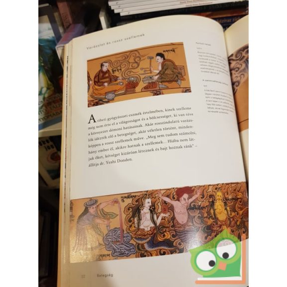 Ian A. Baker: A tibeti gyógyítás művészete (ritka)