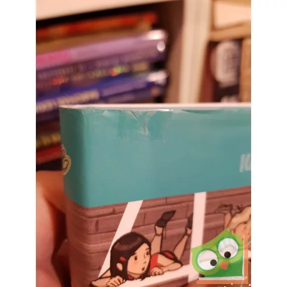 Nemere István: A titokzatos padlás (A fantasztikus nagynéni 3.) (ritka)