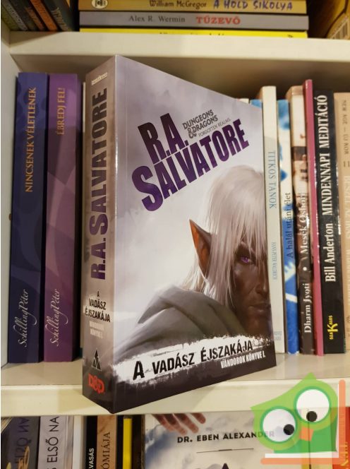 R. A. Salvatore: A vadász éjszakája (Vándorok könyve 1.) (Drizzt legendája 25.) (Dungeons&Dragons) (ritka)