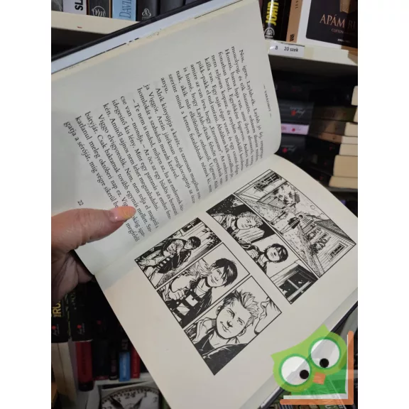 Åsa Larsson, Ingela Korsell: A varázsbot (Pax 1.)