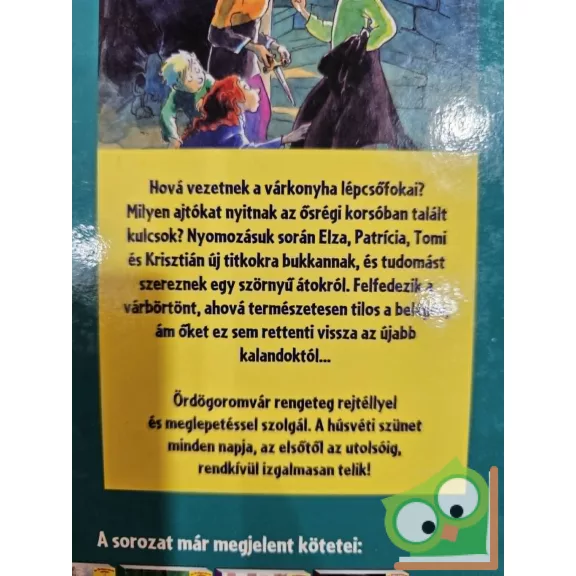 Julia Brückner: A várbörtön foglyai (Ördögoromvár rejtélye 5.)