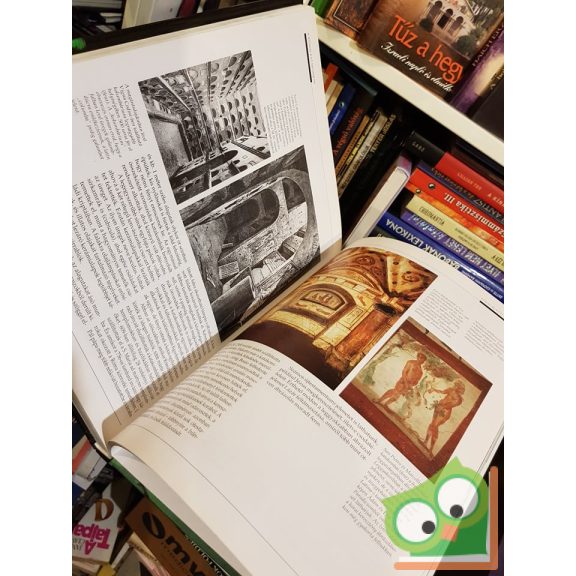 Nigel Hawkes: A világ építészete… az építészet világa