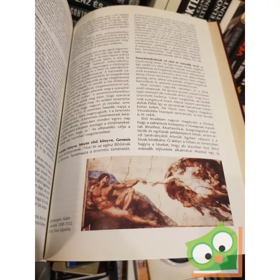 D. Major Klára (szerk.): Ábel - Zsuzsanna - Képes bibliai lexikon