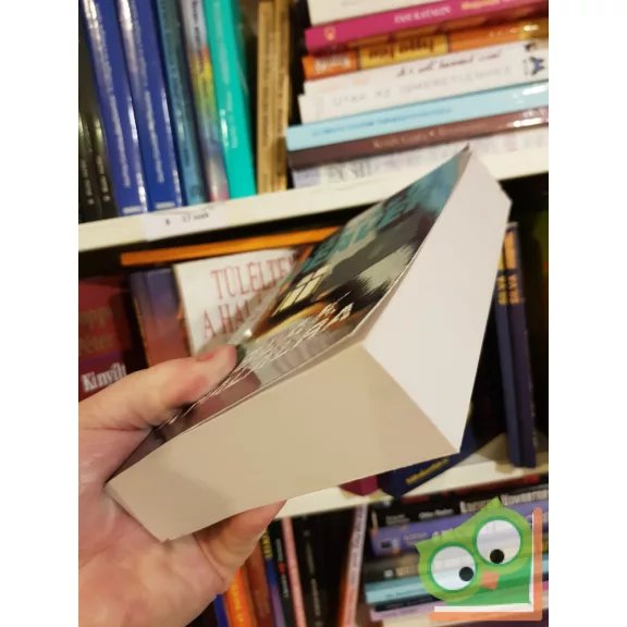 Jeffery Deaver: Ablak a halálra (Lincoln Rhyme 8.)